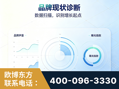 浏阳-品牌现状诊断