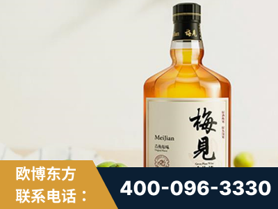 浏阳-梅见青梅酒